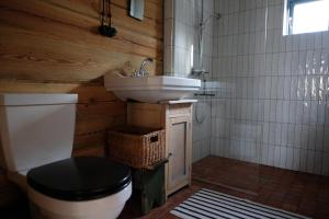 a bathroom with a white toilet and a sink at Kukučio ausy in Trasninkas