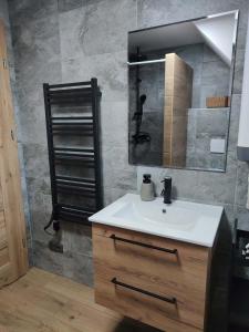 a bathroom with a white sink and a mirror at Apartmány Pelc in Kořenov