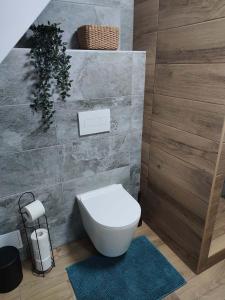 a bathroom with a white toilet and a plant at Apartmány Pelc in Kořenov