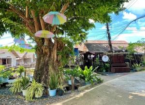 a tree with two umbrellas on top of it at Pradu House Koh Yao Noi in Ko Yao Noi