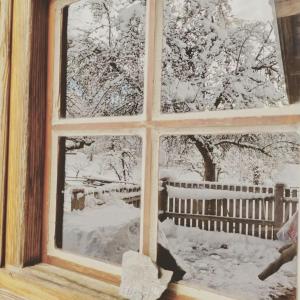 Το Zetzenberghütte Nähe Skiwelt Amadé τον χειμώνα