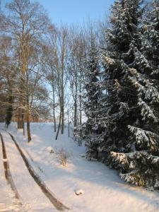 a group of trees with snow on them at Le Gîte du Bas Manoir in Bretteville-sur-Odon