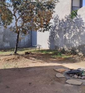 un arbre et un banc à côté d'un bâtiment dans l'établissement Estúdio Vênus, à Alto Paraíso de Goiás