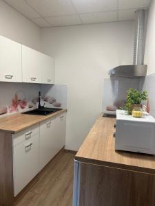 Fotografie z fotogalerie ubytování Apartma Center Ljutomer v destinaci Ljutomer