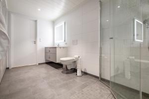 バルスタにあるSeaside apartment in Ballstadのトイレとガラスのシャワー付きのバスルーム