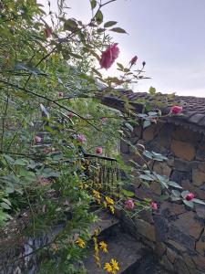 un ramo de flores en un muro de piedra en Villa Thẩm mã, en Dồng Văn