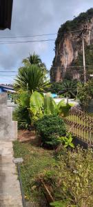 ein Garten mit Pflanzen und einem Berg im Hintergrund in der Unterkunft GreeneryHouseKrabi52 in Ban Chong Phli + 8 Fotos