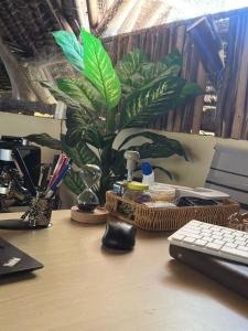 Gallery image of Lennana Escape in Ukunda