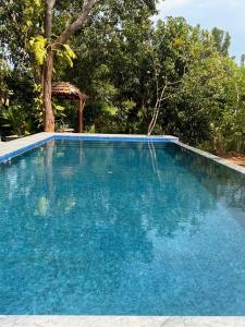 a large blue swimming pool with trees in the background at The wild culture in Sigiriya