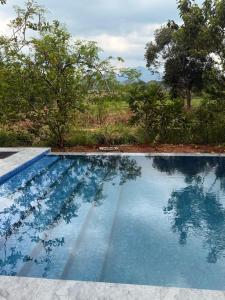 a blue swimming pool with trees in the background at The wild culture in Sigiriya