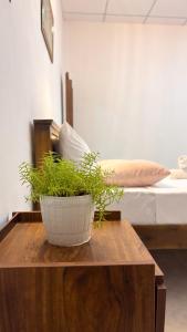 Postel nebo postele na pokoji v ubytování The Kandy Look Homestay + 9 fotografií