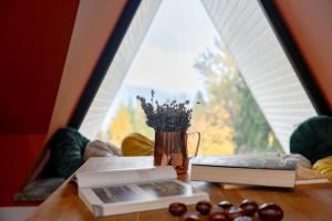 Foto Szklarska Porębas asuva majutusasutuse Willa Bukowy Las - Everslow galeriist