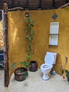 a bathroom with a toilet and a plant at Why Nam Stunning Beach & Ocean View Jungle Penthouse in Ko Phangan