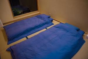 zwei blaue Kissen auf dem Boden in einem Zimmer in der Unterkunft Ittokasi Ao no Ie - Vacation STAY 44156v in Fuefuki