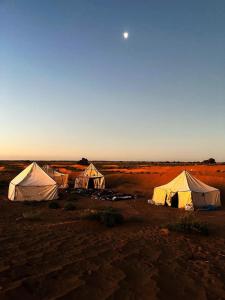 a group of tents in the middle of a field at Desert tours&trips in Zagora
