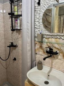 バチュカ・パランカにあるStan na dan 4youの洗面台と鏡のあるバスルーム