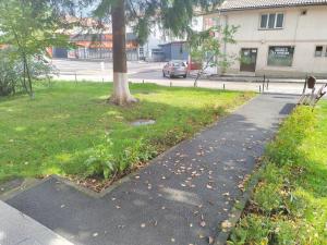 a sidewalk next to a park with a tree at La Monica - Straja - Lupeni - Retezat - Parang in Lupeni +1 photo