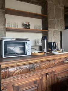 a microwave sitting on top of a wooden cabinet at Glamping, Piscina, Río y Bosque - Más Líderes Experiencias in Santiago