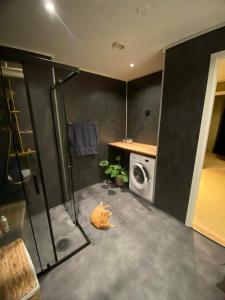 y baño con ducha y lavadora. en Cozy house with free parking on the premises, en Ringebu