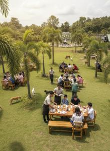 Majutusasutuse Adventure trails külastajad