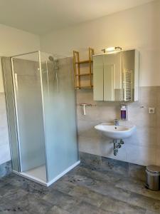 a bathroom with a shower and a sink at Seepark Wolfswinkel in Storkow