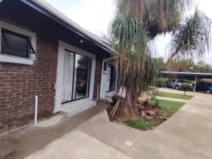 a palm tree in front of a house at Khaya Guest house in Rustenburg