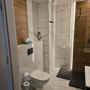 ein weißes Badezimmer mit Toilette und Dusche in der Unterkunft Pokoje Gościnne Polo in Częstochowa