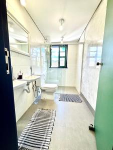 a bathroom with a toilet and a sink at Casa Charmosa no Centro Histórico in Ouro Preto