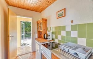 a kitchen with green and white tile on the wall at Ferienhaus Boitzenburger Land in Rosenow