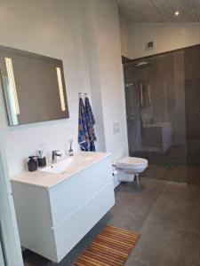 a bathroom with a sink and a toilet at Holiday Idyll With Nature And City Nearby in Skødstrup