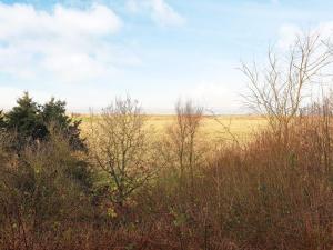 a field of grass with trees in the foreground at Luxury Fjordview Retreat-By Traum in Højslev