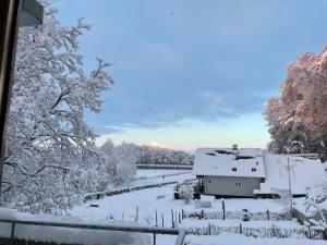 a snow covered yard with a house and trees at Landglück in Tettnang
