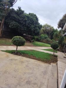 two trees in a yard with a driveway at Khaya guesthouse in Rustenburg