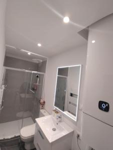 a bathroom with a toilet and a sink and a shower at Appartement spacieux in Lille