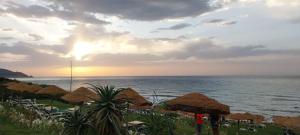 Phong cảnh thiên nhiên gần căn hộ