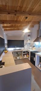a large kitchen with wooden ceilings and a counter top at Loft Moderno in Viedma +31 photos