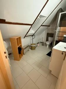 a attic bathroom with a sink and a toilet at Appartement confortable avec piscine à Cour-Cheverny in Cour-Cheverny