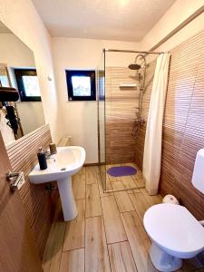 Ένα μπάνιο στο Vila David 2 Comarnic