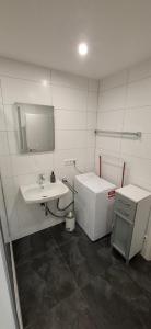 un bagno bianco con lavandino e specchio di Ferienwohnung Langwasser a Norimberga