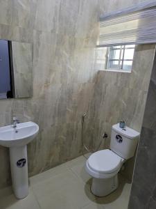 a bathroom with a toilet and a sink at Danamic view hotel in Abuja