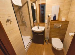 a small bathroom with a sink and a toilet at Willa Aniołówka in Kościelisko