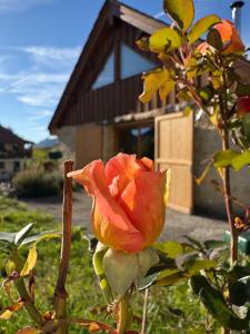 Zahrada ubytování Jolie maison de village en pierre