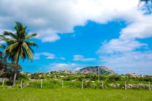 Phong cảnh thiên nhiên gần resort