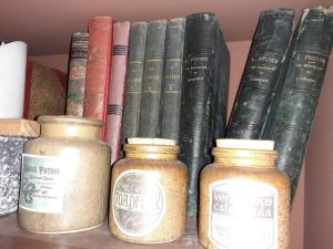 un gruppo di libri su uno scaffale con dei barattoli di Le terrier des sorciers a Crémieu Altre 14 foto