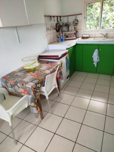 een keuken met groene kasten en een tafel en stoelen bij le petit couin des voyageurs in Bouillante +6 foto's