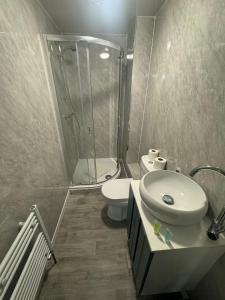 a bathroom with a shower and a sink and a toilet at Park Place Collection in Sunderland