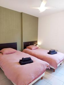 two beds sitting next to each other in a room at Le Chant des Cigales in Azille +39 photos