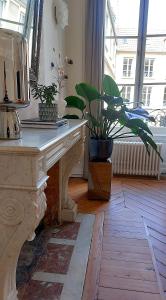 Φωτογραφία από το άλμπουμ του La Demeure Saint Sauveur στην Καέν +59 φωτογραφίες