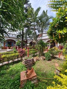 Zahrada ubytování Nasmat Resort