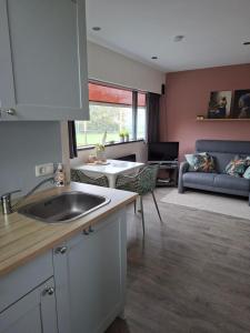a kitchen with a sink and a living room at Sfeervolle 2 persoons studio in Bakkeveen in Bakkeveen